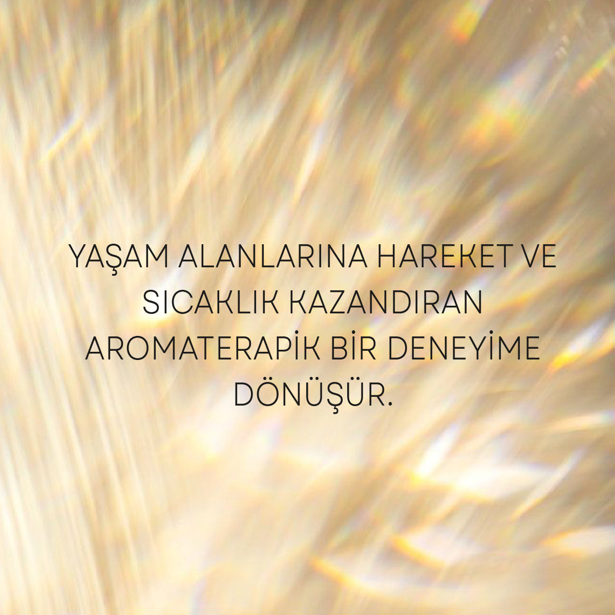 Bolluk&Bereket Uçucu Yağ Karışımı