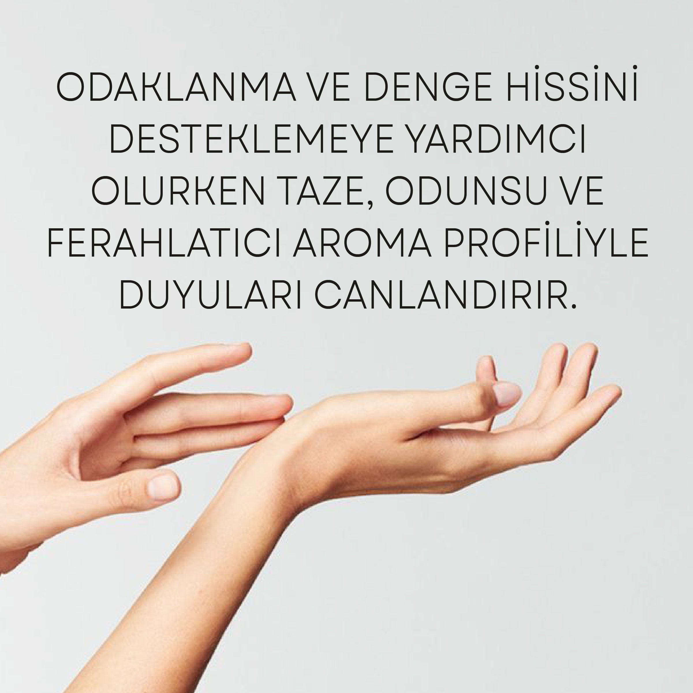 Focus & Balance ambalaj görünümü — Polente Natural aromaterapi wellness serisi