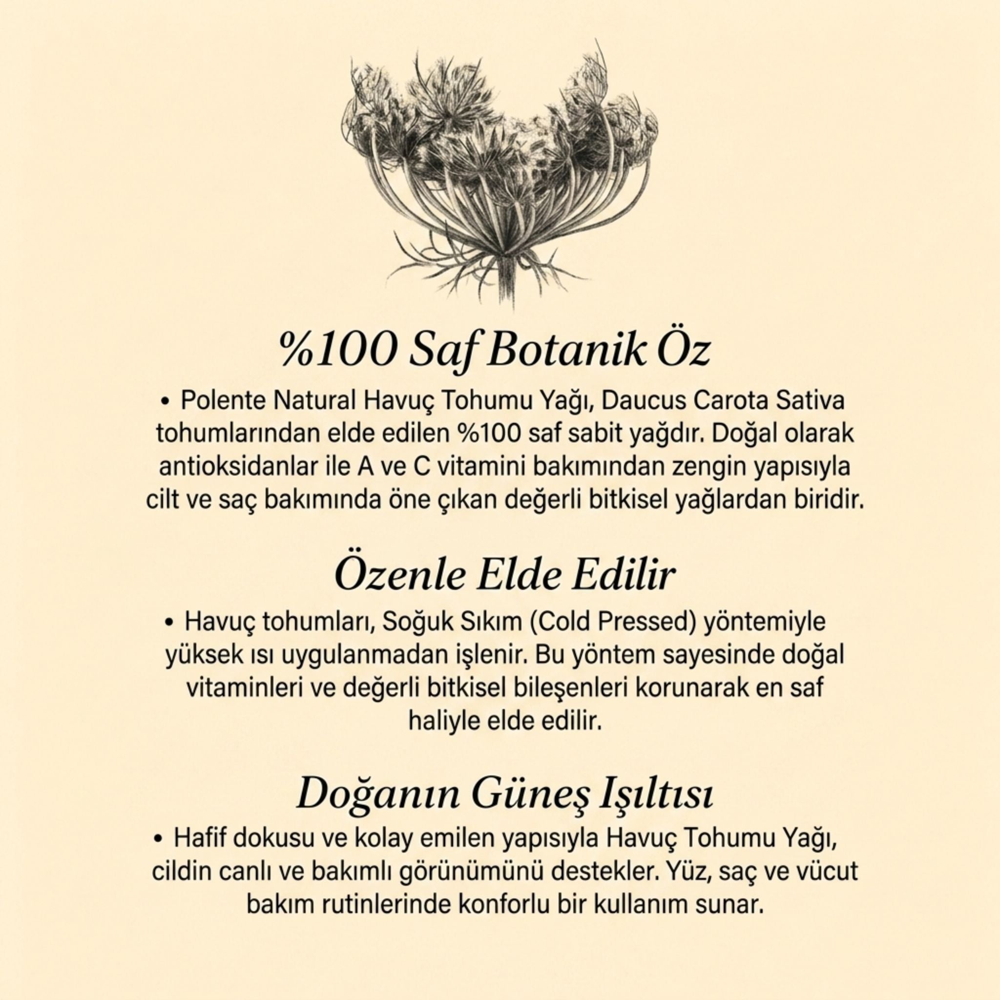 Havuç Tohumu Yağı - Soğuk Sıkım (30 ml)
