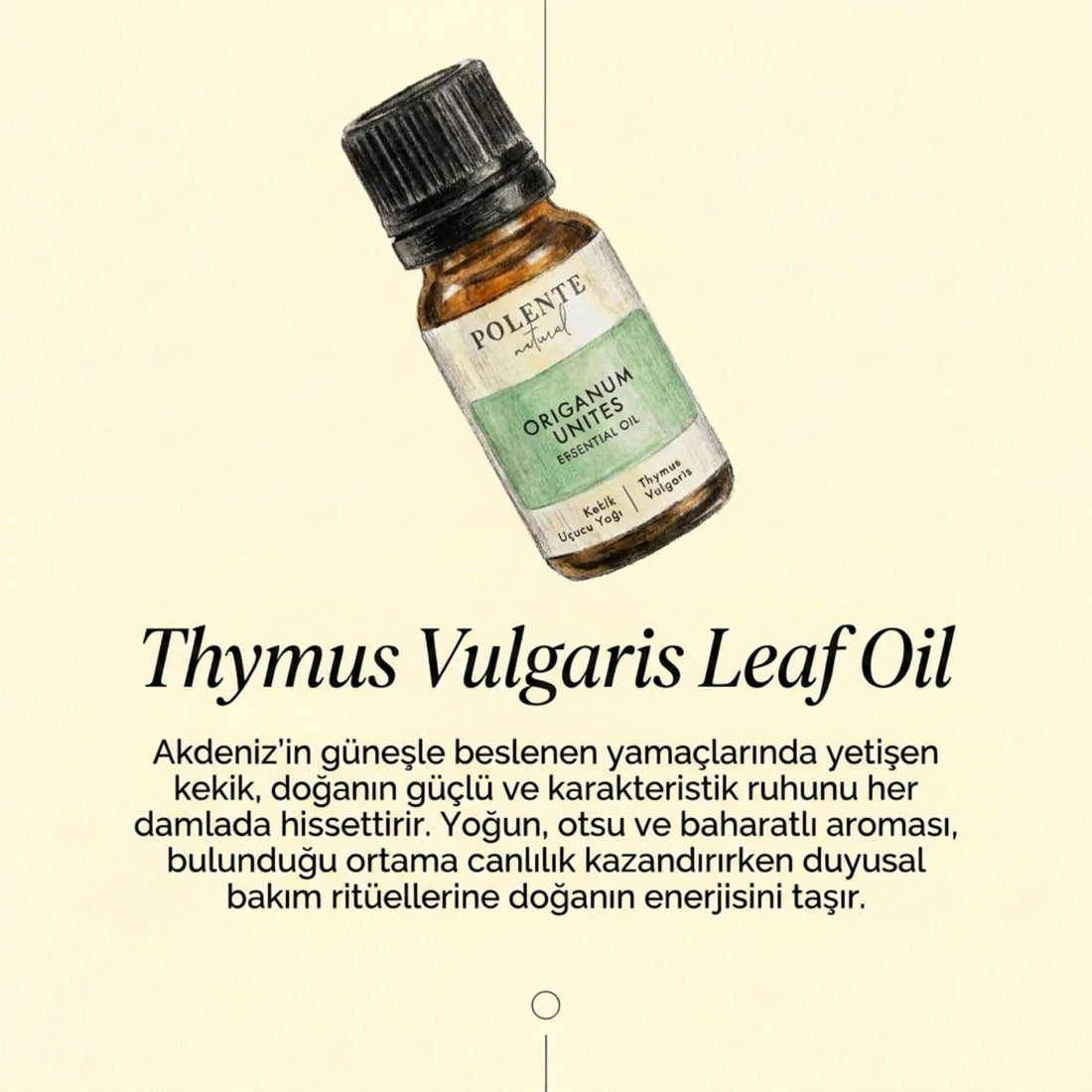 Kekik Uçucu Yağı (10 ml)