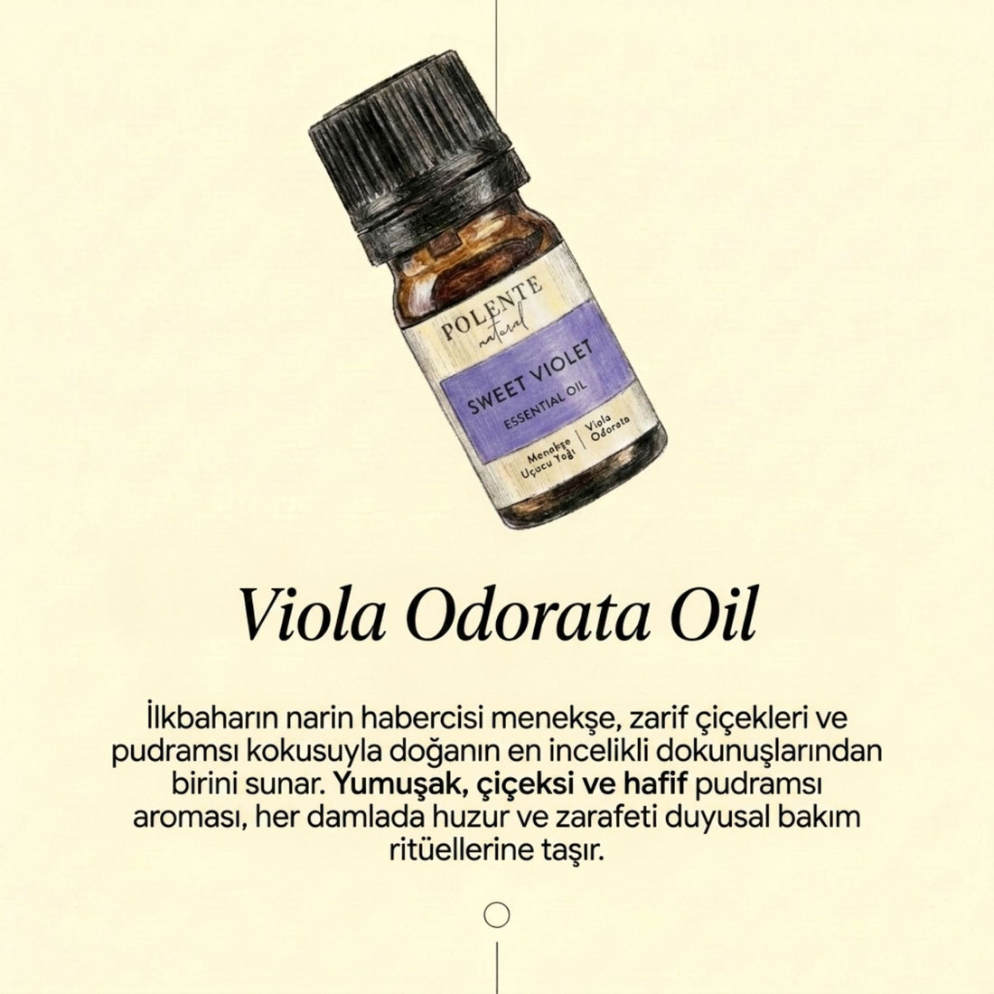 Menekşe Uçucu Yağı (5 ml)