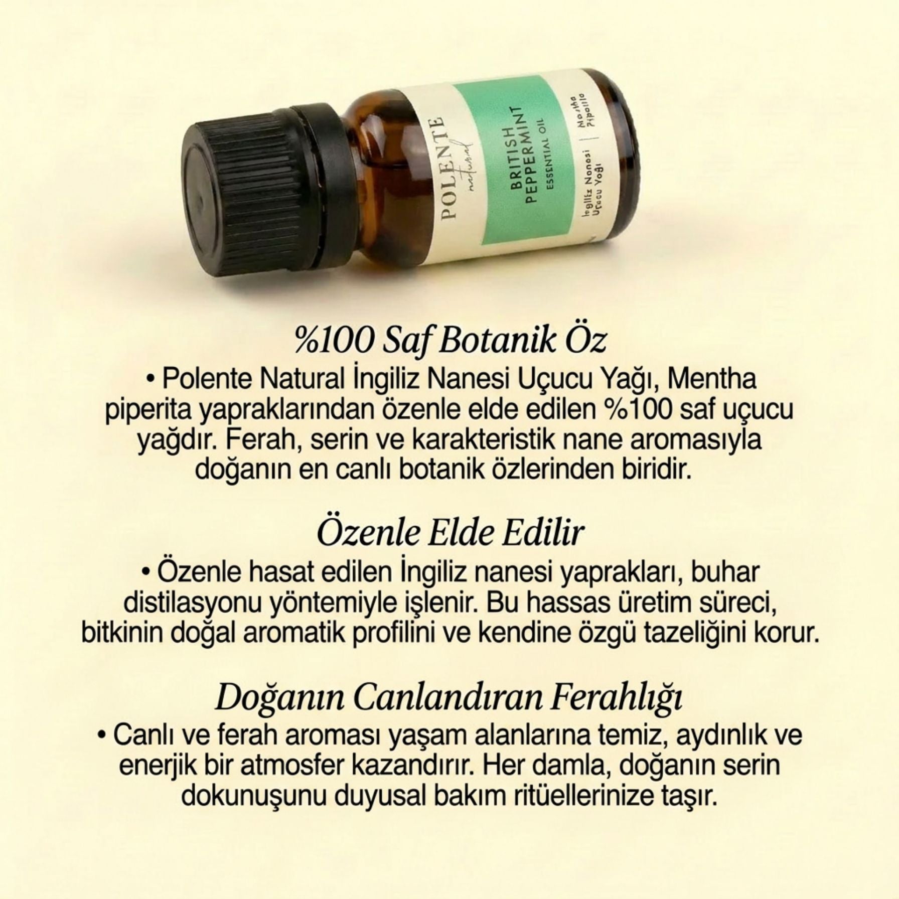 İngiliz Nanesi Uçucu Yağı (10 ml)
