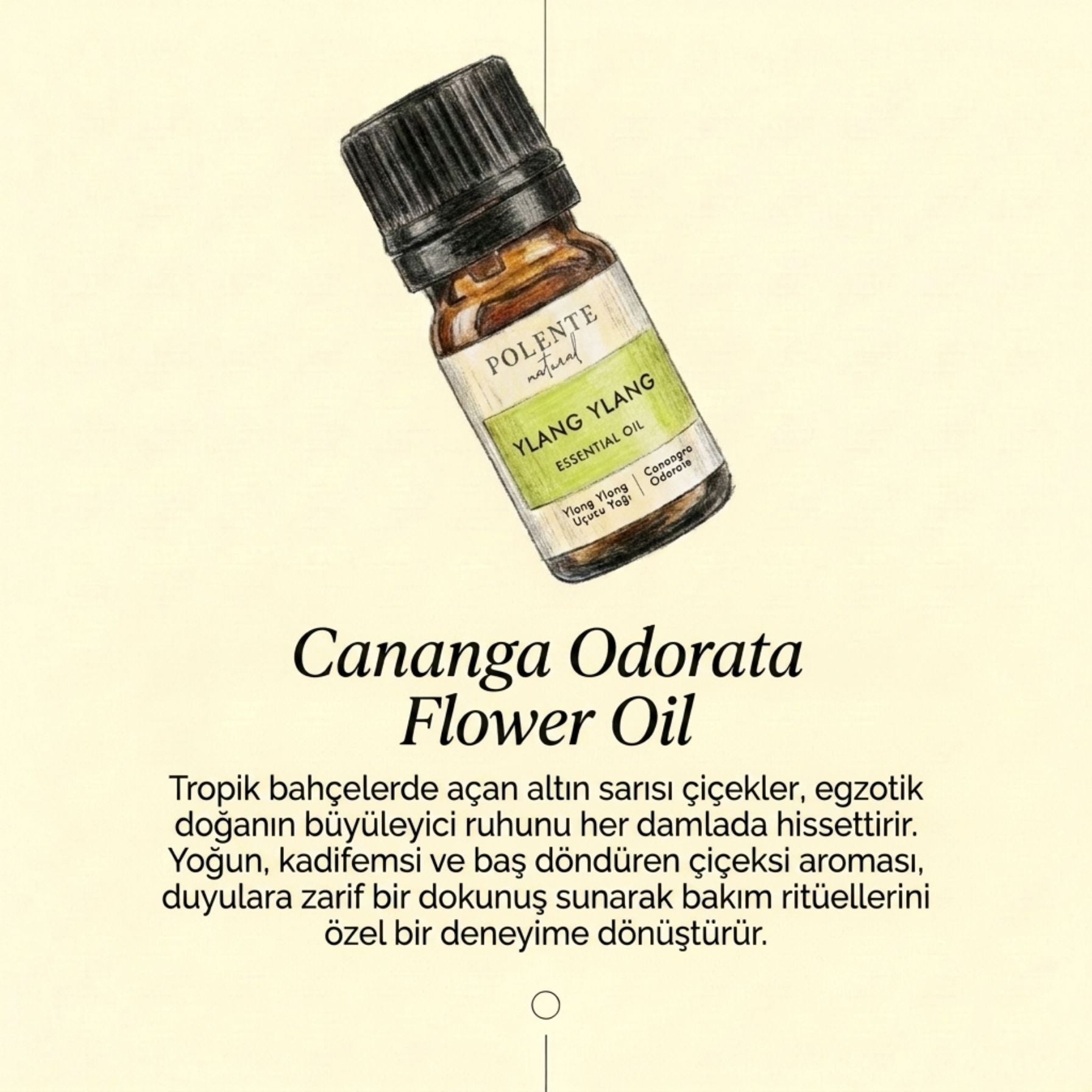 Ylang Ylang Uçucu Yağı (5 ml)