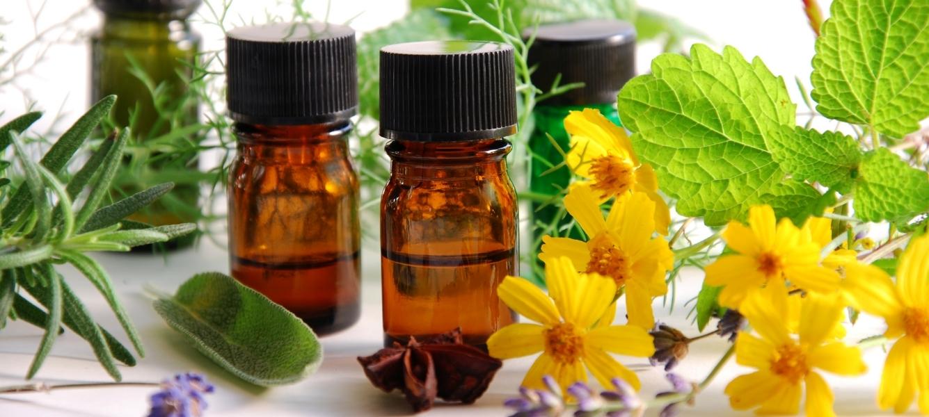 En Çok Tercih Edilen Uçucu Yağlar ve Faydaları - Polente Natural