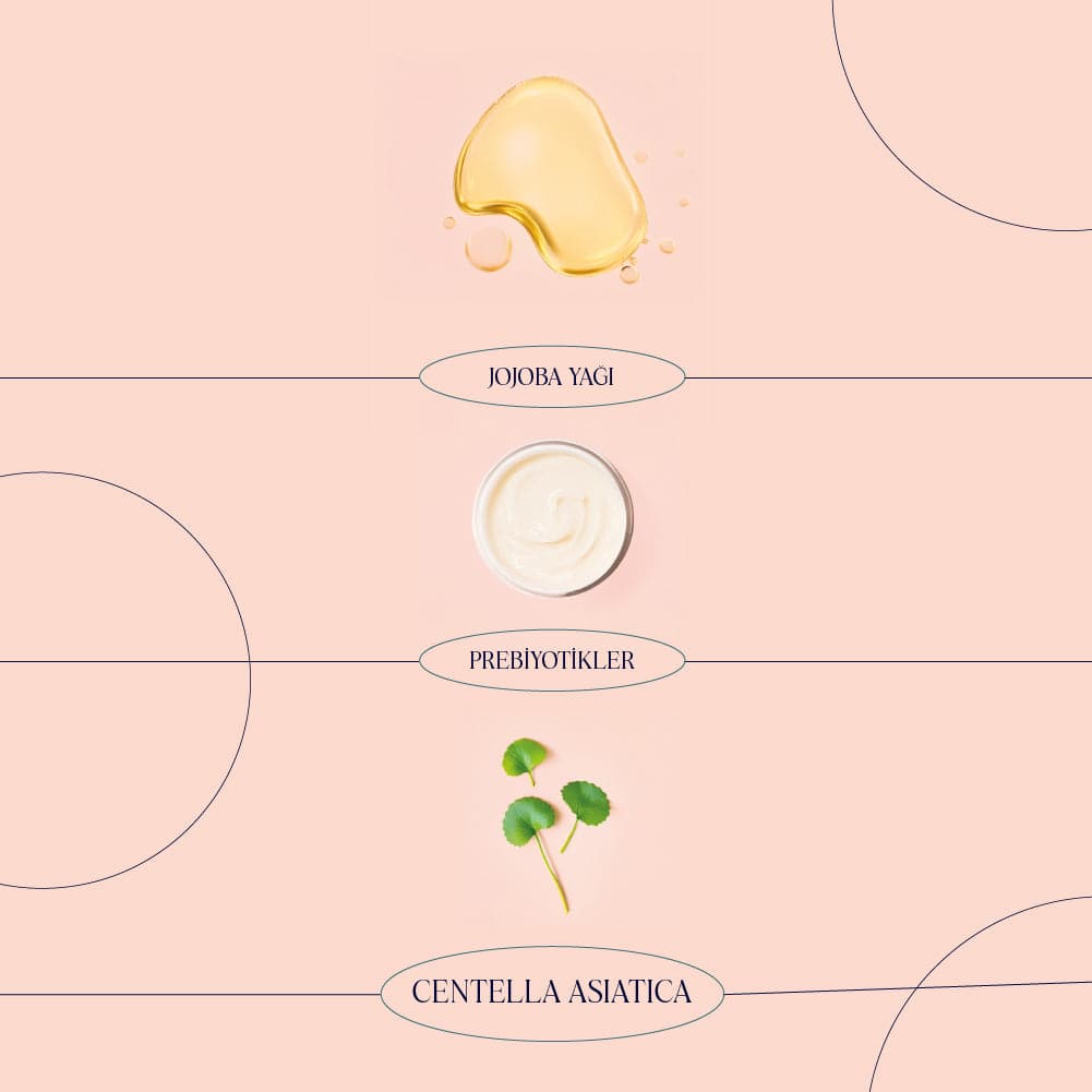 Prebiotic Moist Cream - Cica &amp; Panthenol Yoğun Nemlendirici Prebiyotik Yüz Kremi (50 ml)