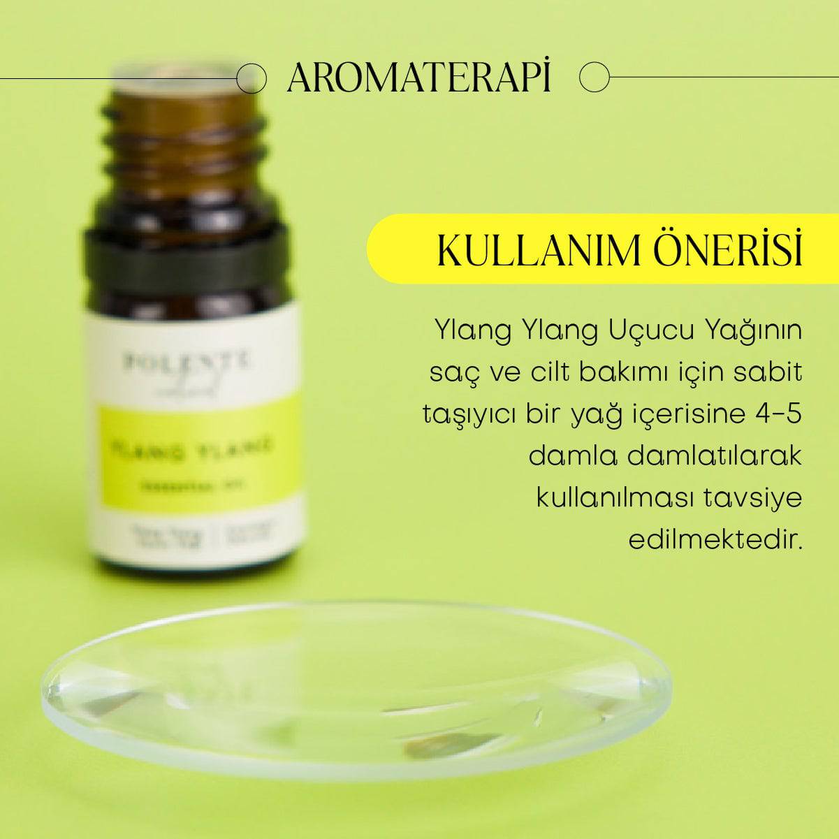 Tarçın &amp; Vanilya Enerji Verici Masaj Yağı (100 ml)
