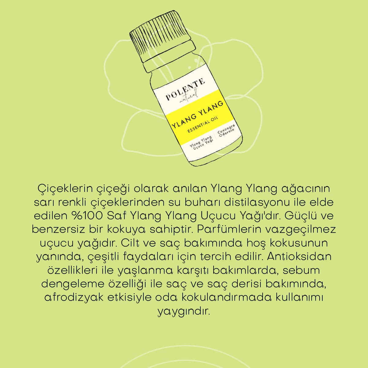Tarçın &amp; Vanilya Enerji Verici Masaj Yağı (100 ml)