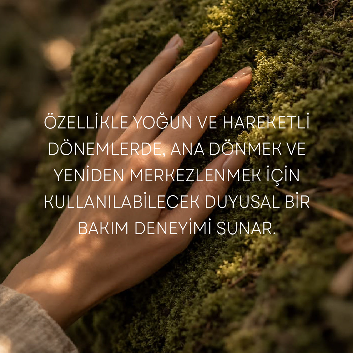Kök Çakra Masaj Yağı
