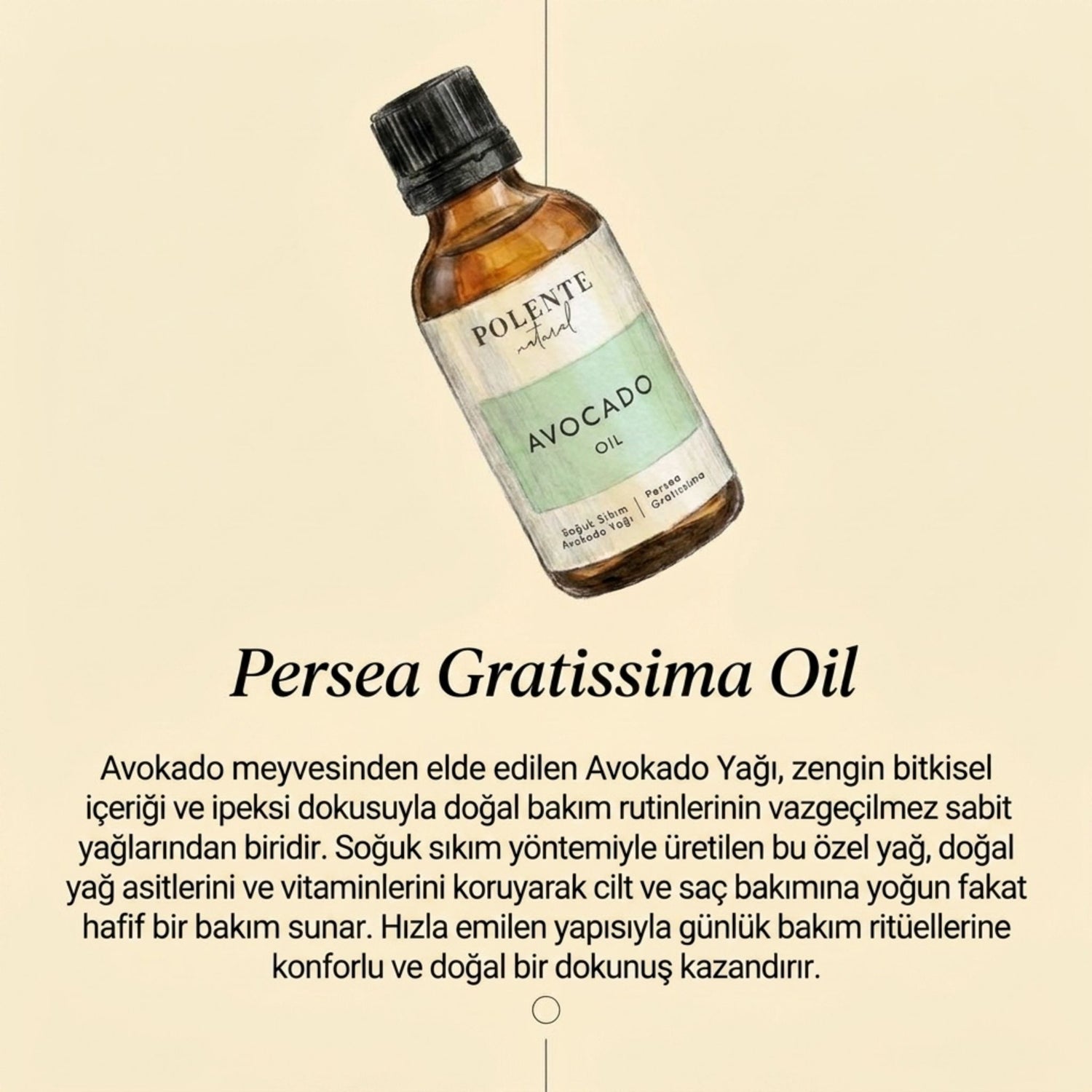 Avokado Yağı - Soğuk Sıkım (50 ml)