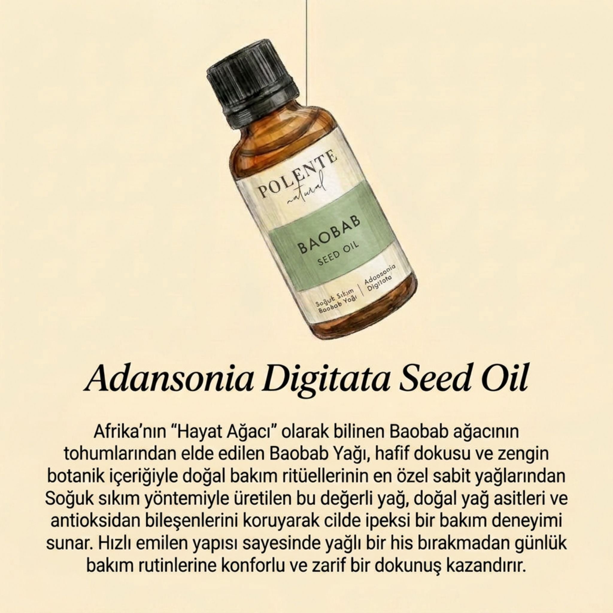 Baobab Yağı - Soğuk Sıkım (30 ml)