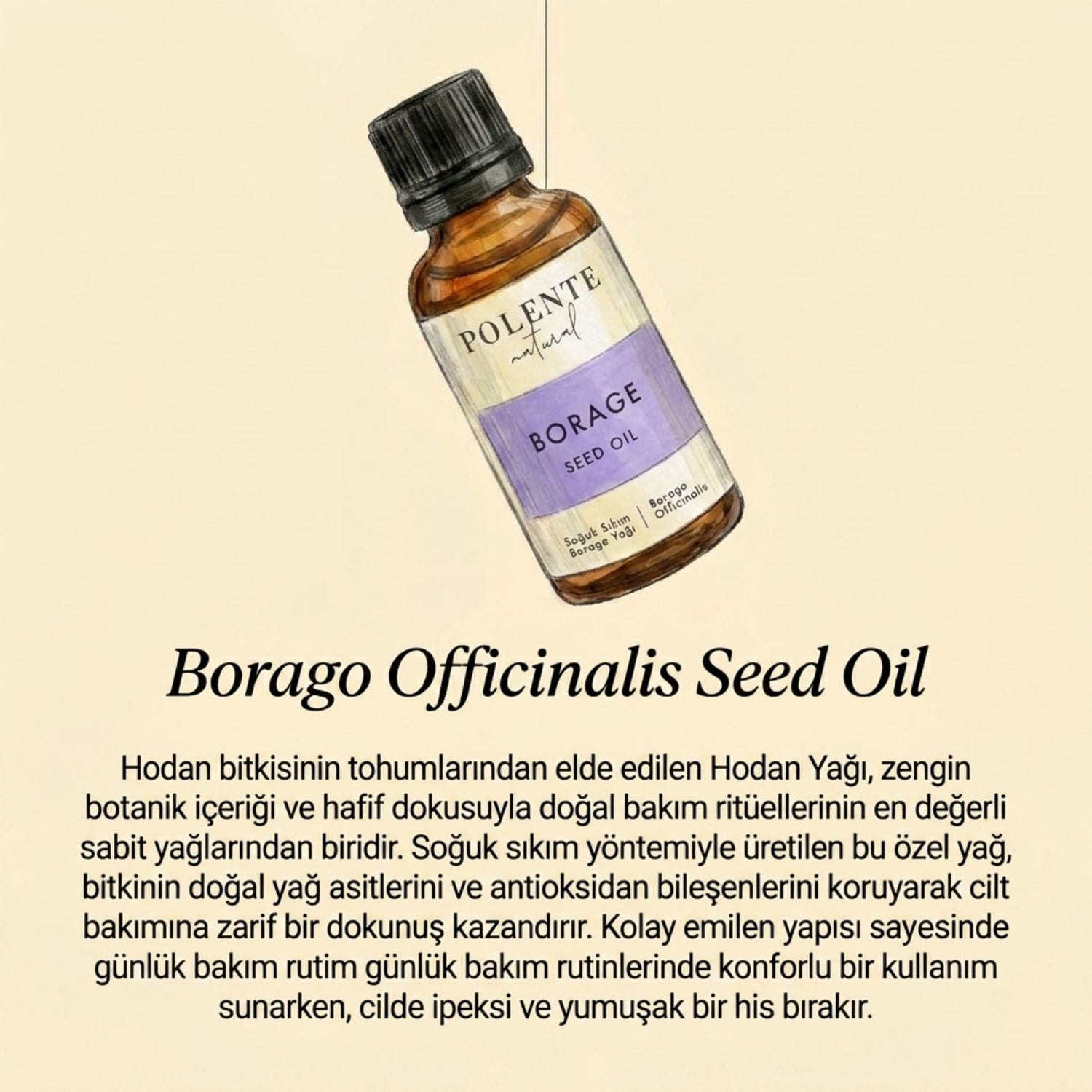 Borage (Hodan) Yağı - Soğuk Sıkım (30 ml)
