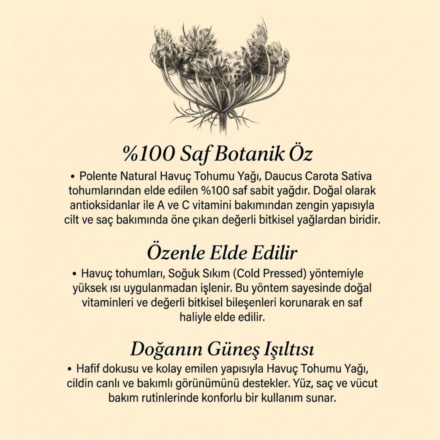 Havuç Tohumu Yağı - Soğuk Sıkım (30 ml)