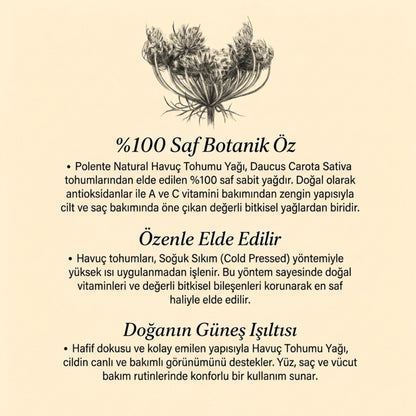 Havuç Tohumu Yağı - Soğuk Sıkım (30 ml)