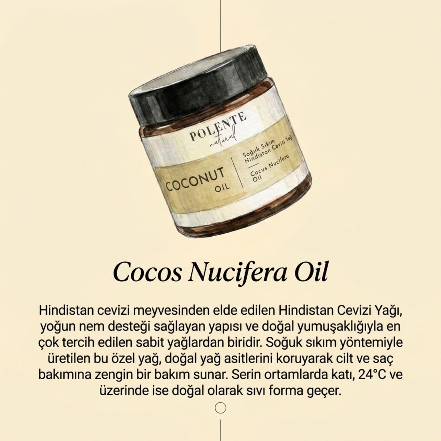 Hindistan Cevizi Yağı (100 ml)