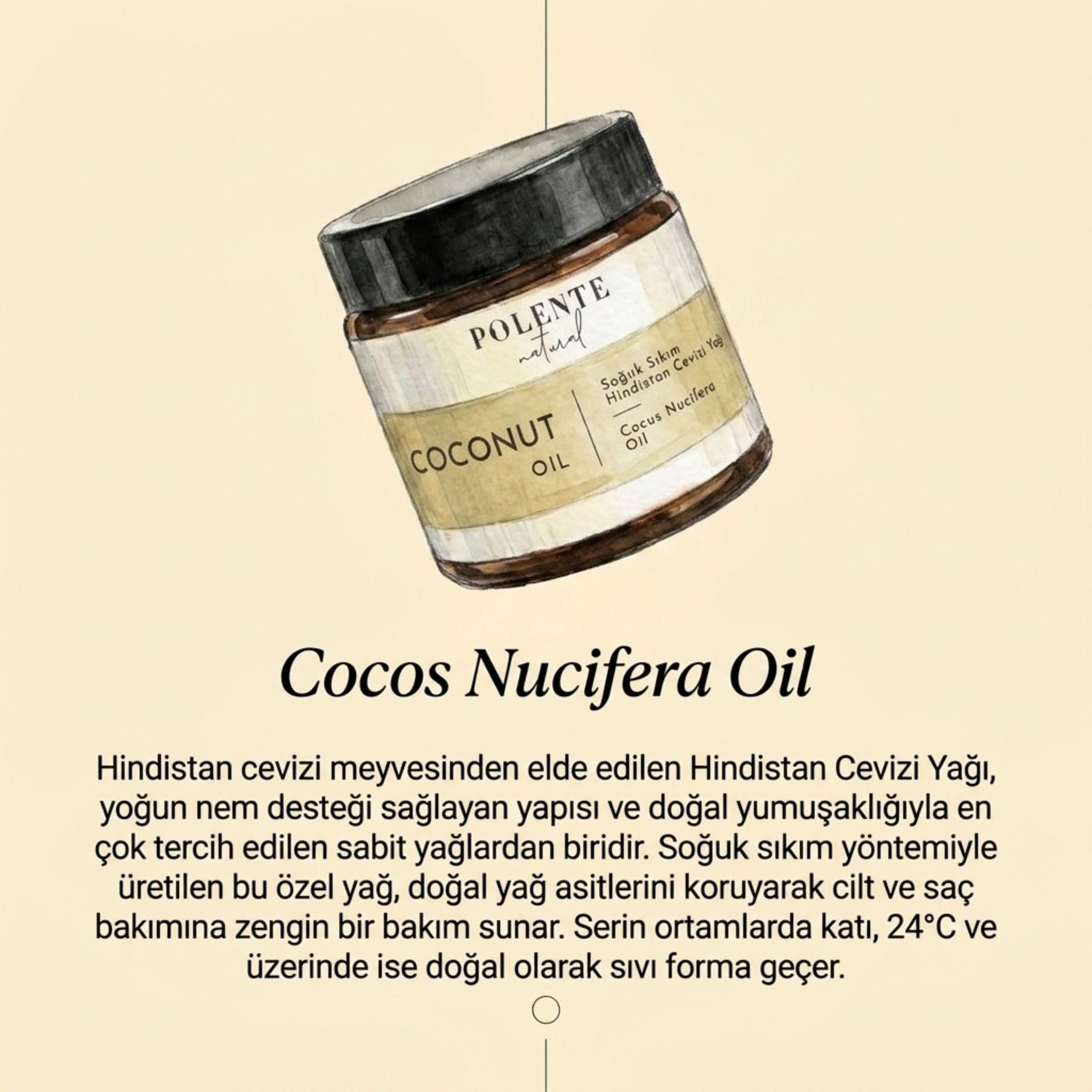 Hindistan Cevizi Yağı (100 ml)