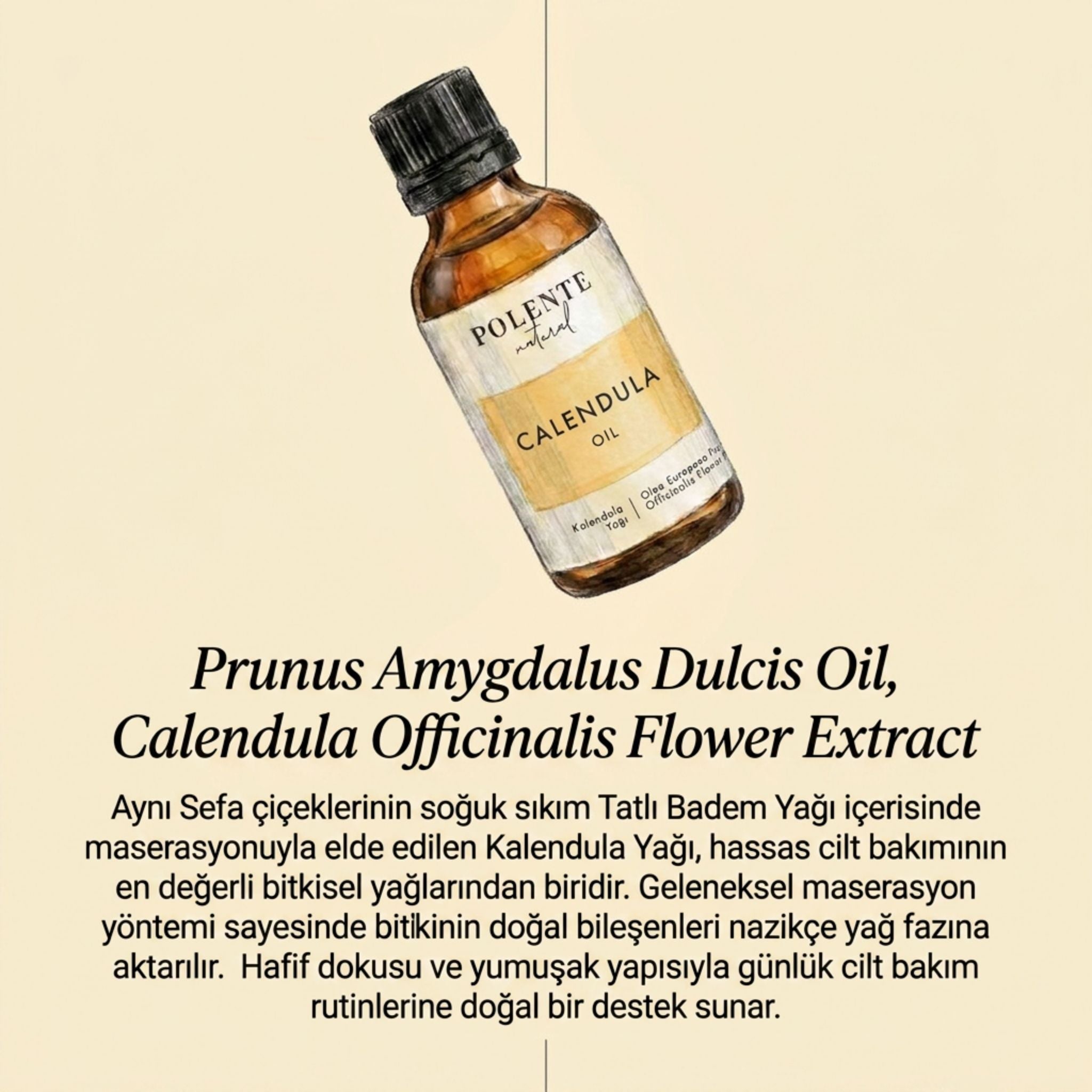 Kalendula Yağı - Aynı Sefa Yağı (50 ml)