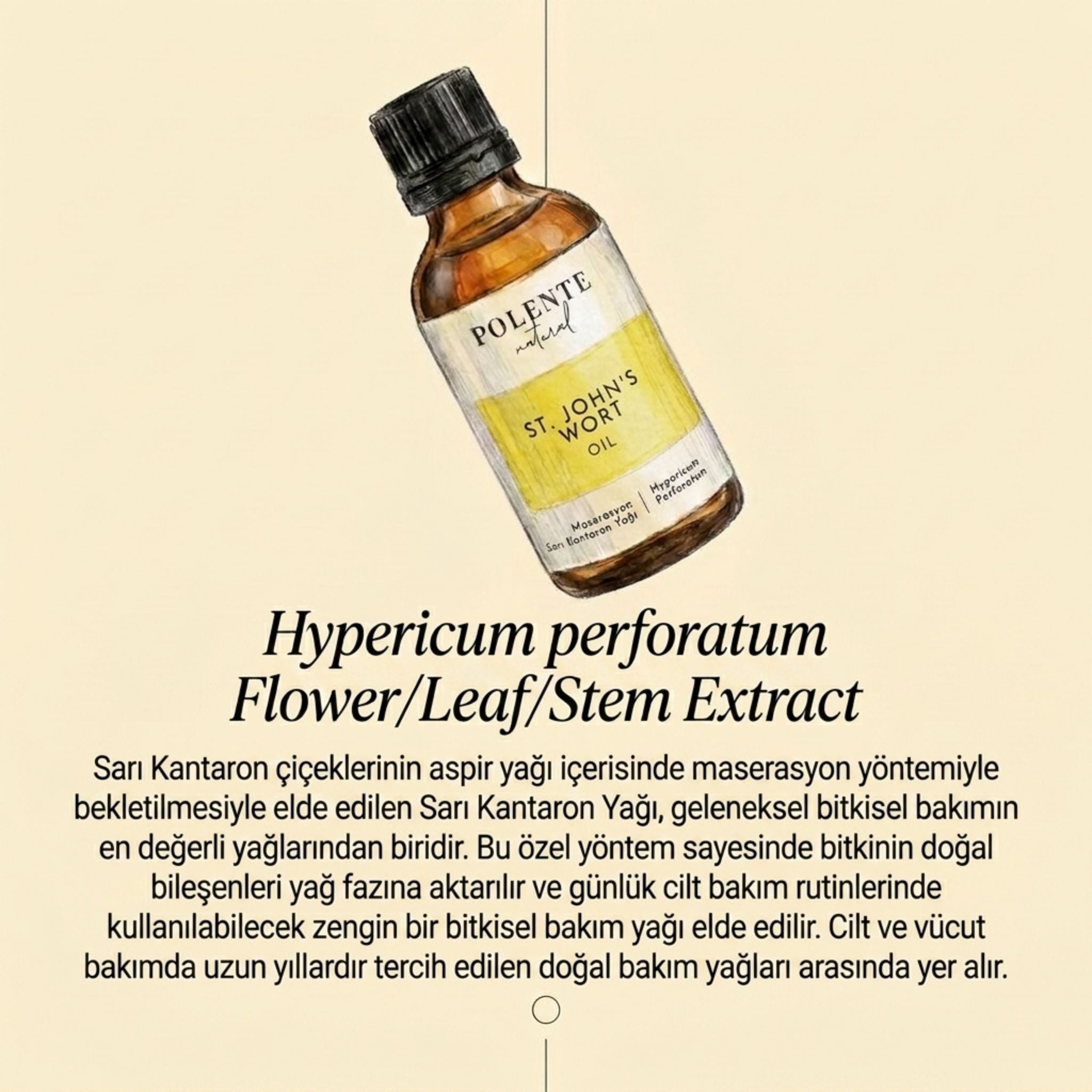 Sarı Kantaron Yağı  - Aspir Maserasyon (50 ml)