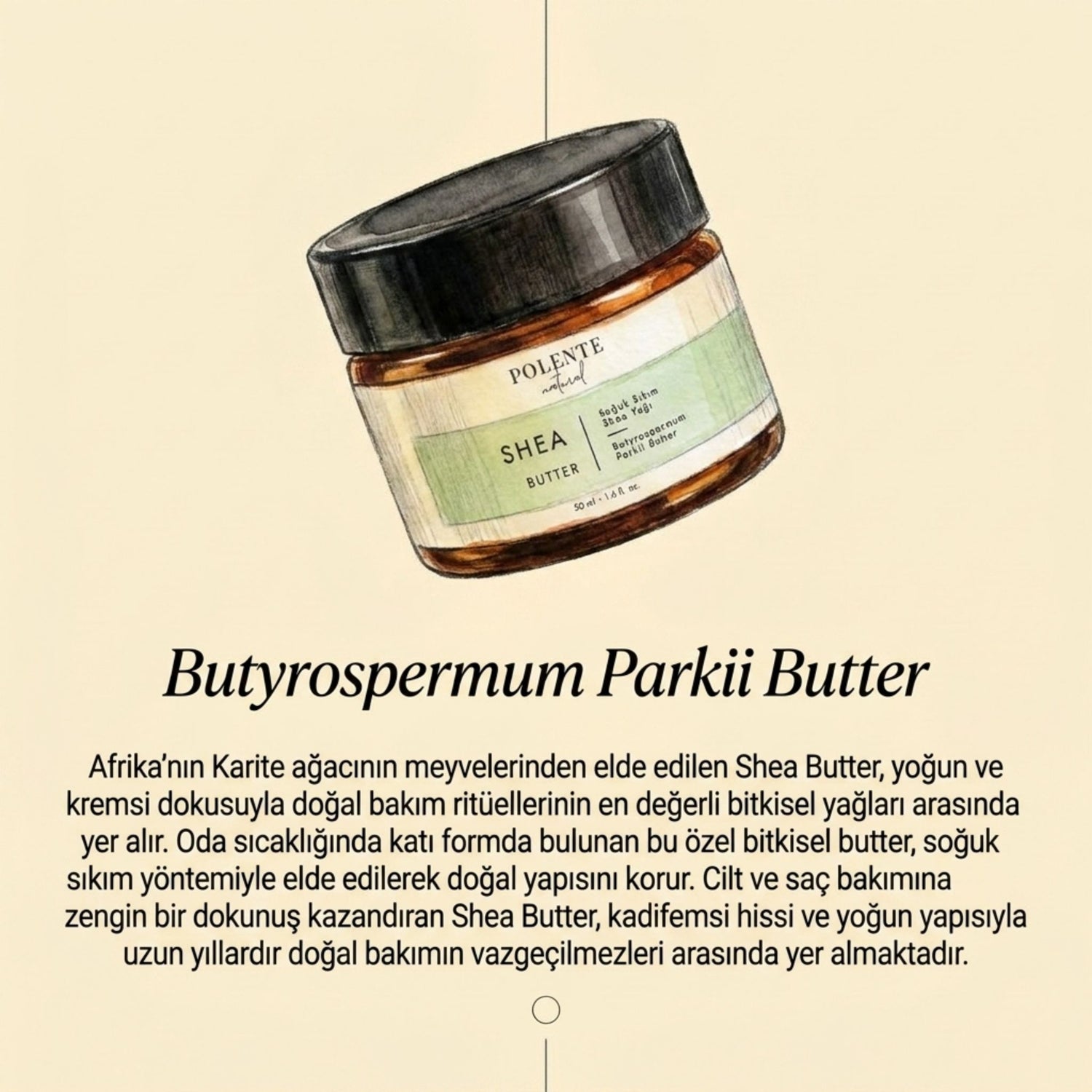 Shea Butter - Cold Pressed (50 ml)