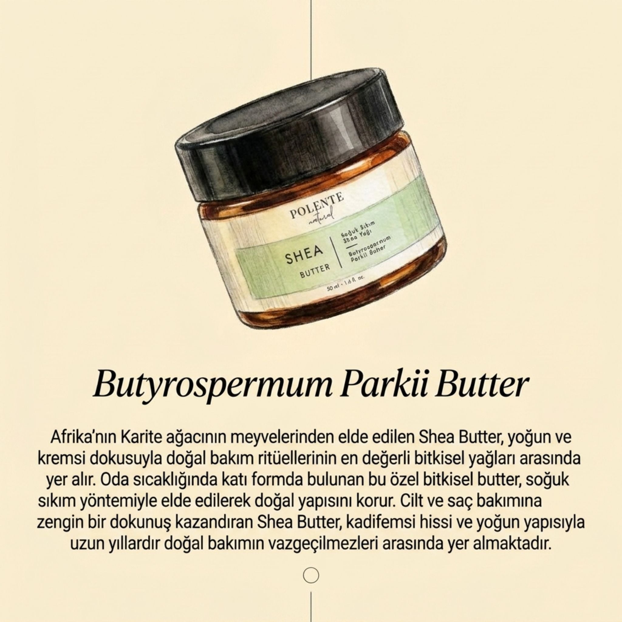 Shea Butter - Cold Pressed (50 ml)