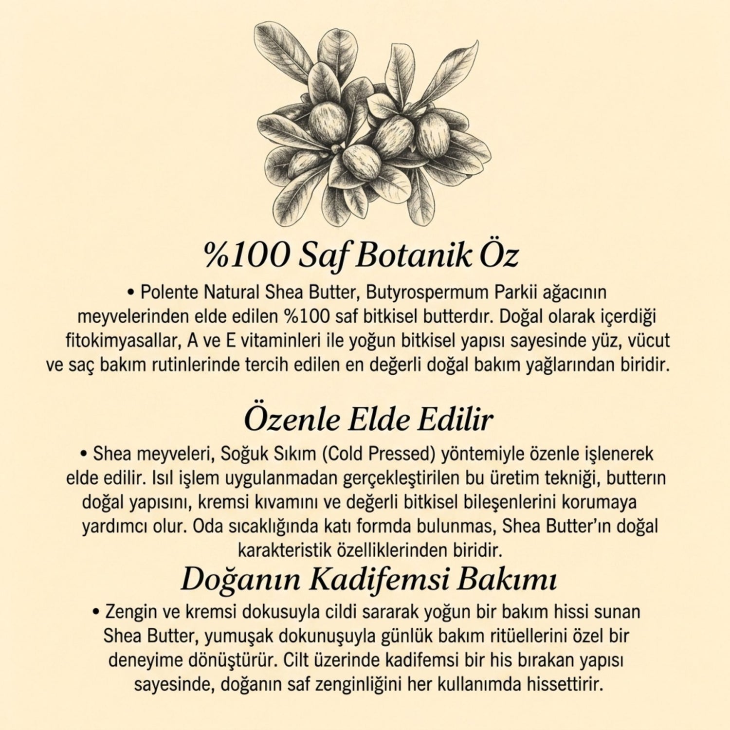 Shea Butter - Cold Pressed (50 ml)