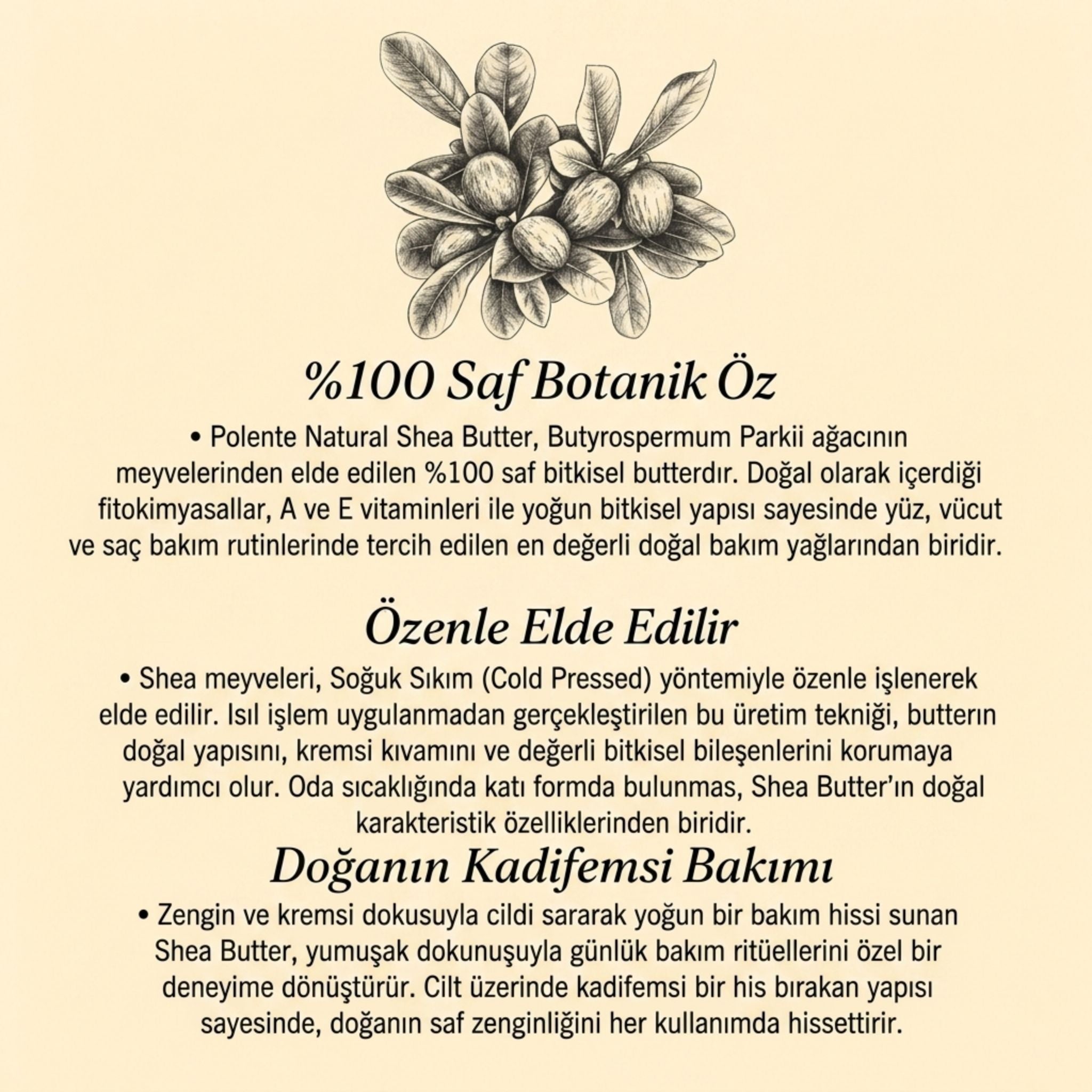 Shea Butter - Cold Pressed (50 ml)