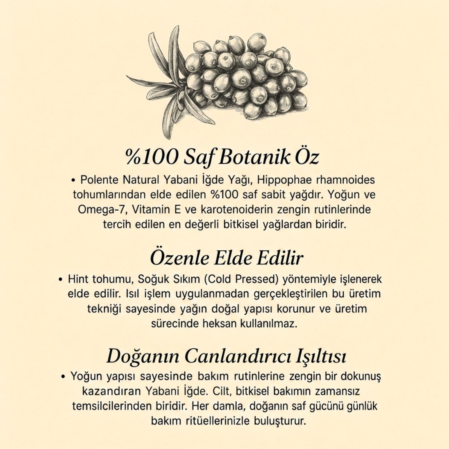 Yabani İğde Yağı - Soğuk Sıkım (30 ml)