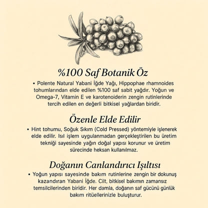Yabani İğde Yağı - Soğuk Sıkım (30 ml)