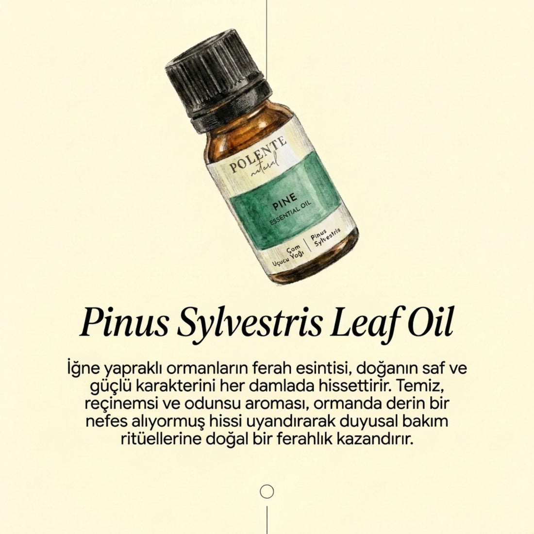 Çam Uçucu Yağı (10 ml)