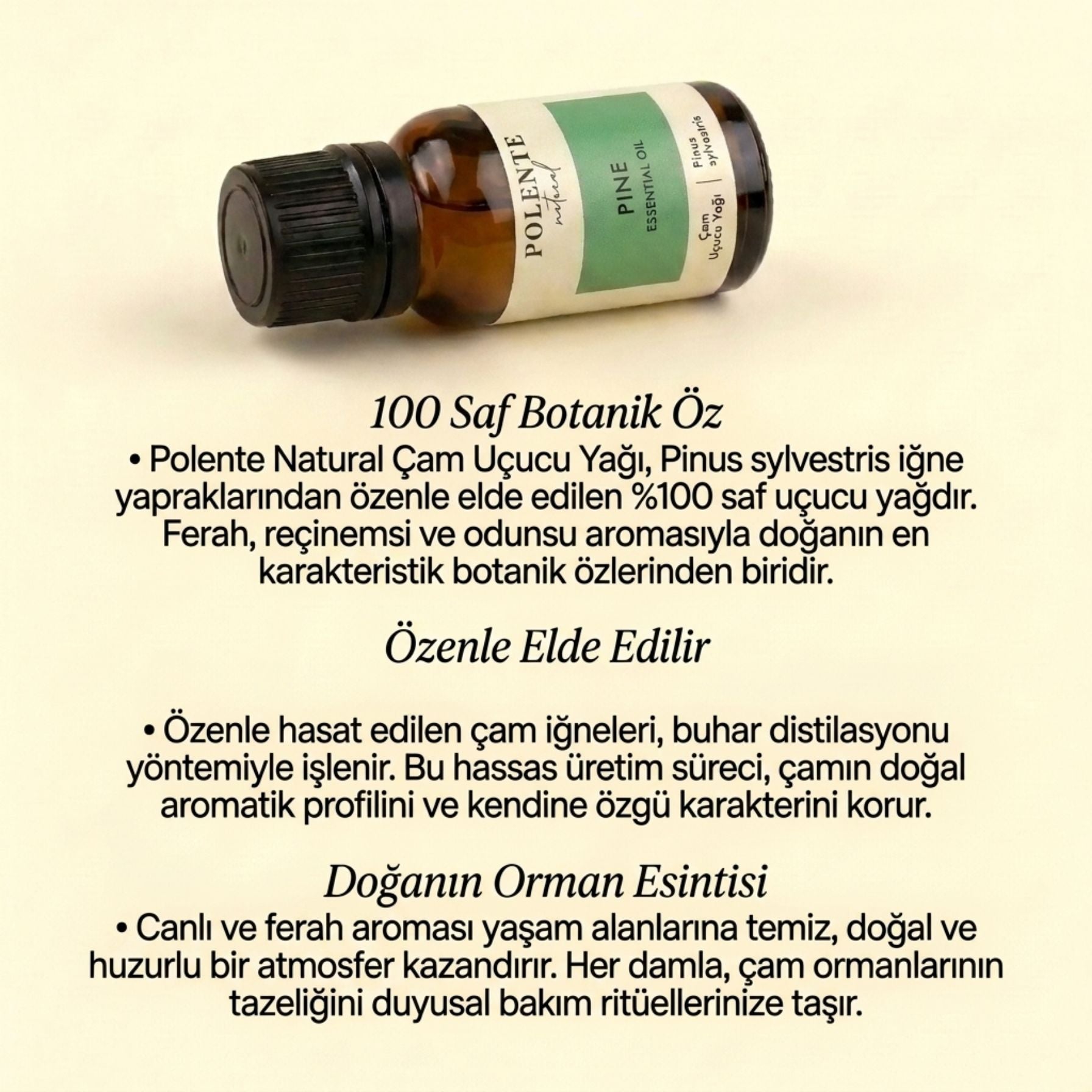 Pine Essential Oil (10 ml)