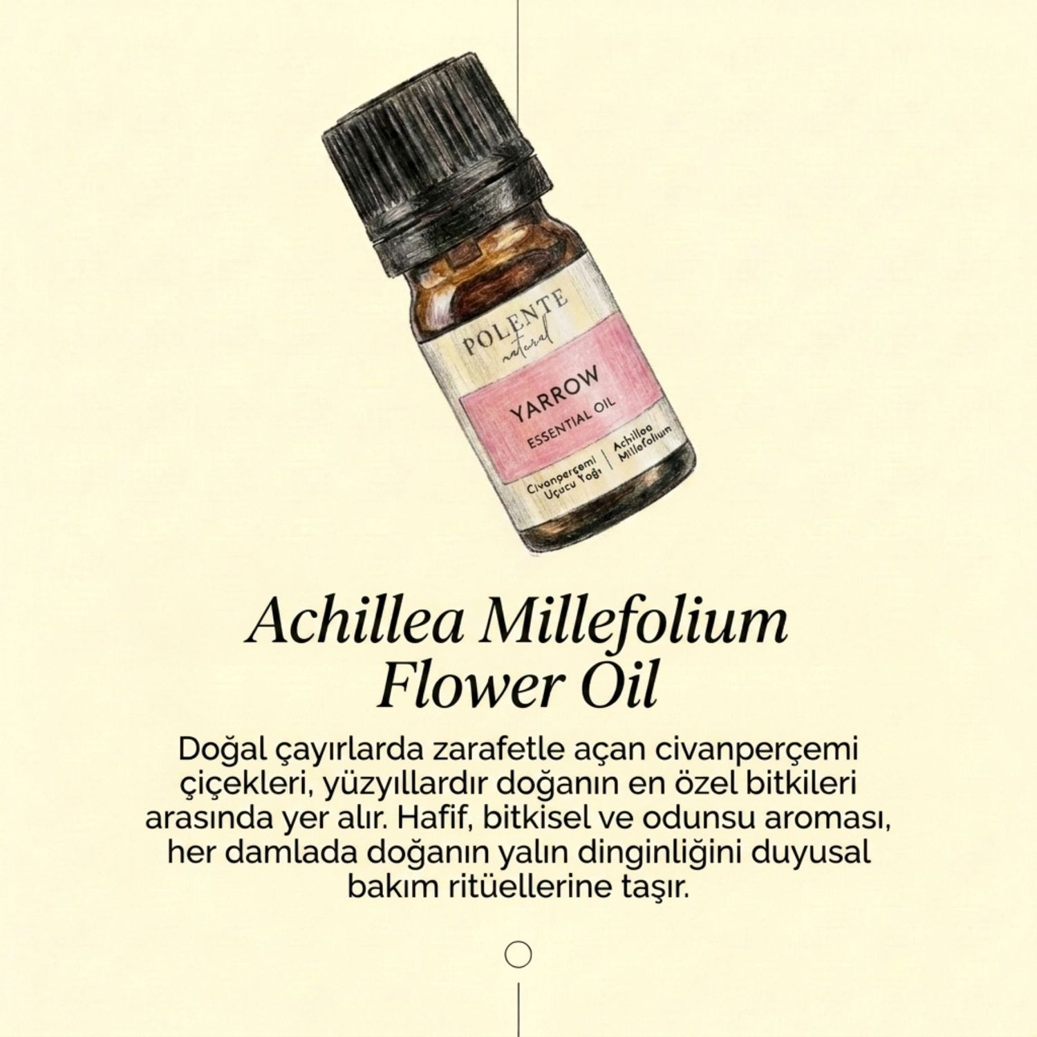 Civanperçemi Uçucu Yağı (5 ml)