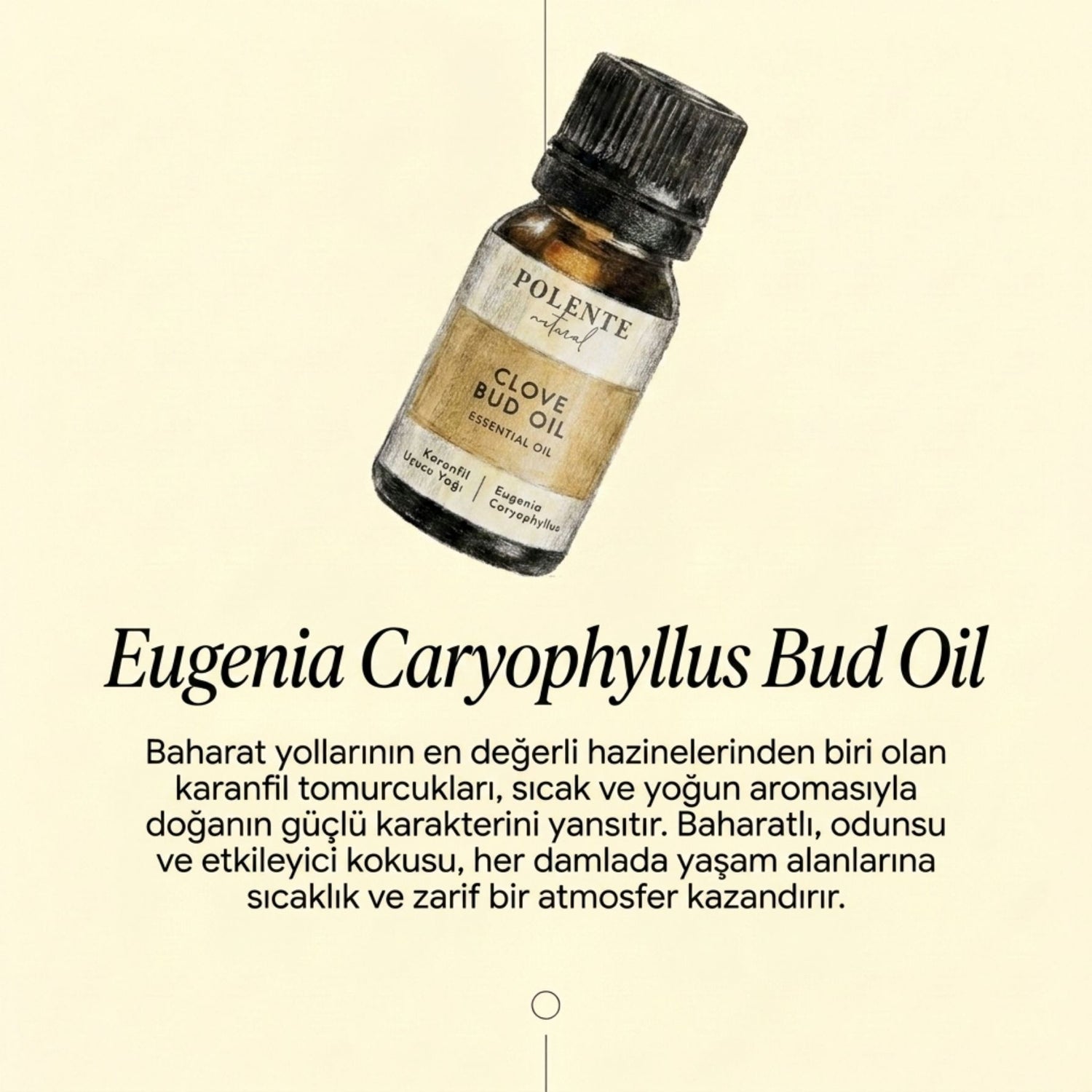 Karanfil Uçucu Yağ (10 ml)