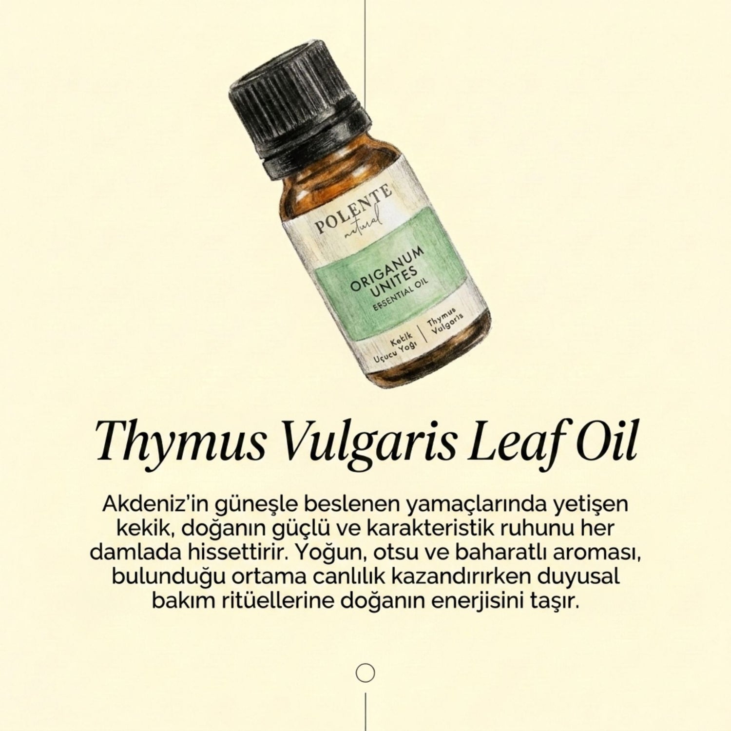 Kekik Uçucu Yağı (10 ml)