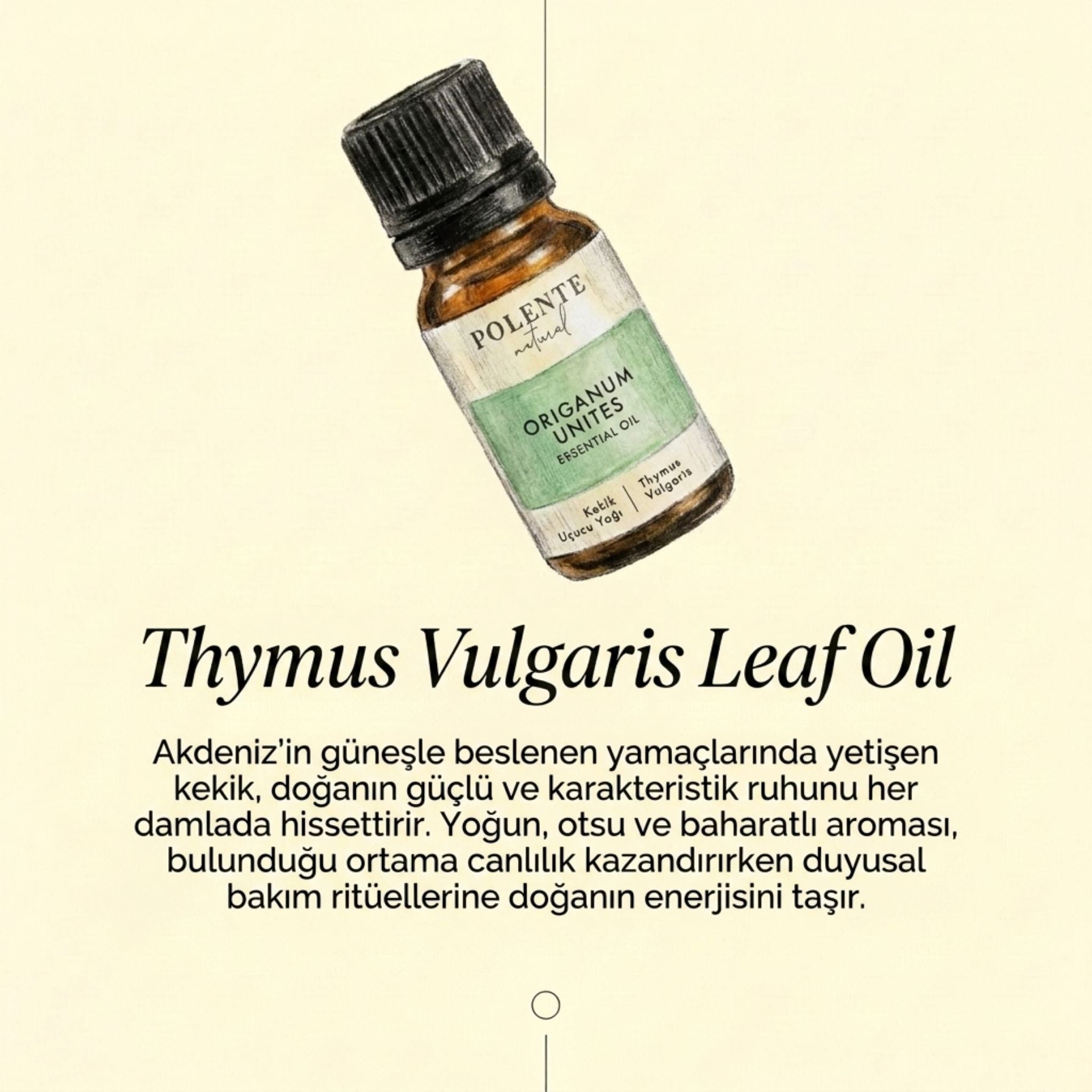 Kekik Uçucu Yağı (10 ml)