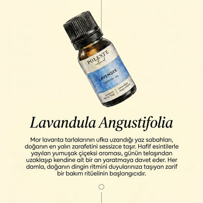 Lavanta Uçucu Yağı (10 ml)