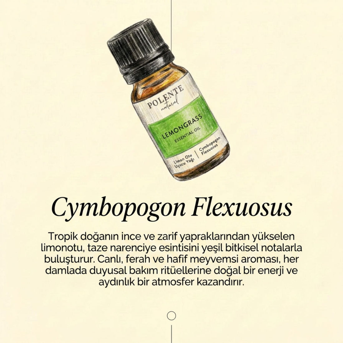 Limonotu Uçucu Yağı (10 ml)