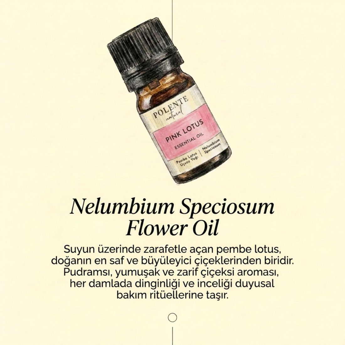 Pembe Lotus Uçucu Yağı (5 ml)