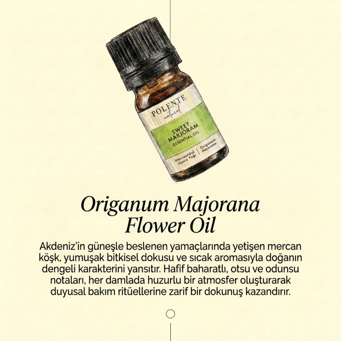 Mercanköşk Uçucu Yağı (5 ml)