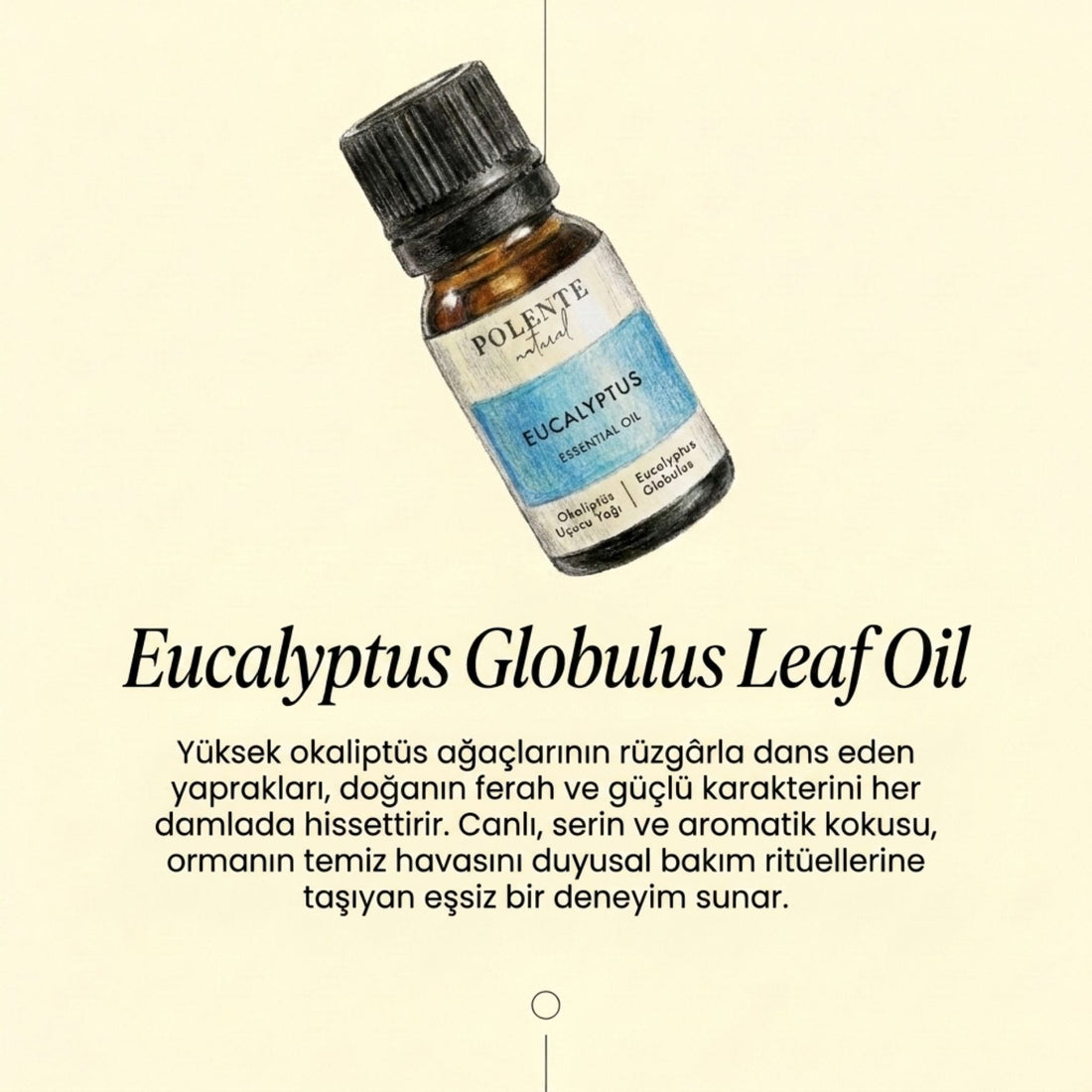 Okaliptus Uçucu Yağı (10 ml)