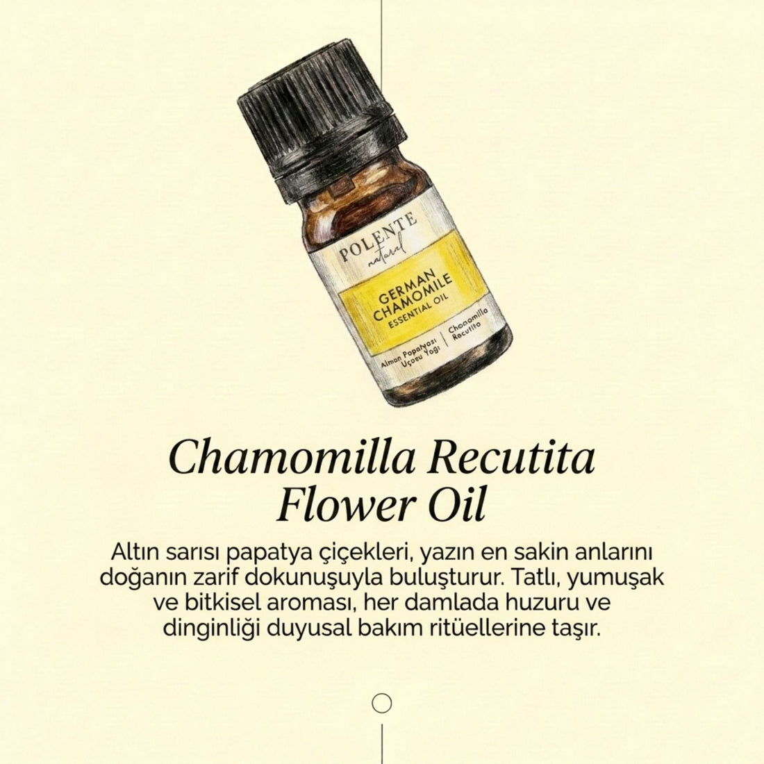 Papatya Uçucu Yağı  (5 ml)