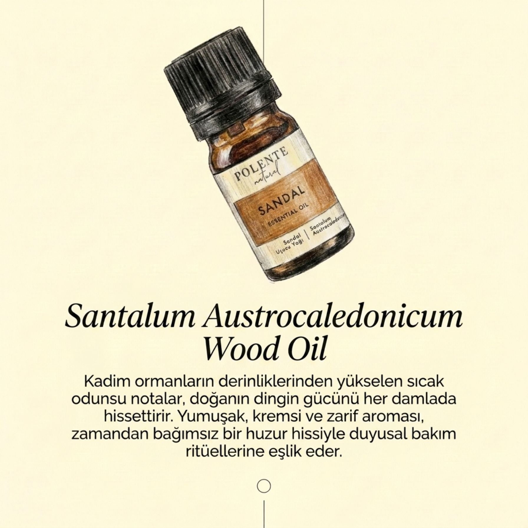 Sandalwood Essential Oil (5 ml)