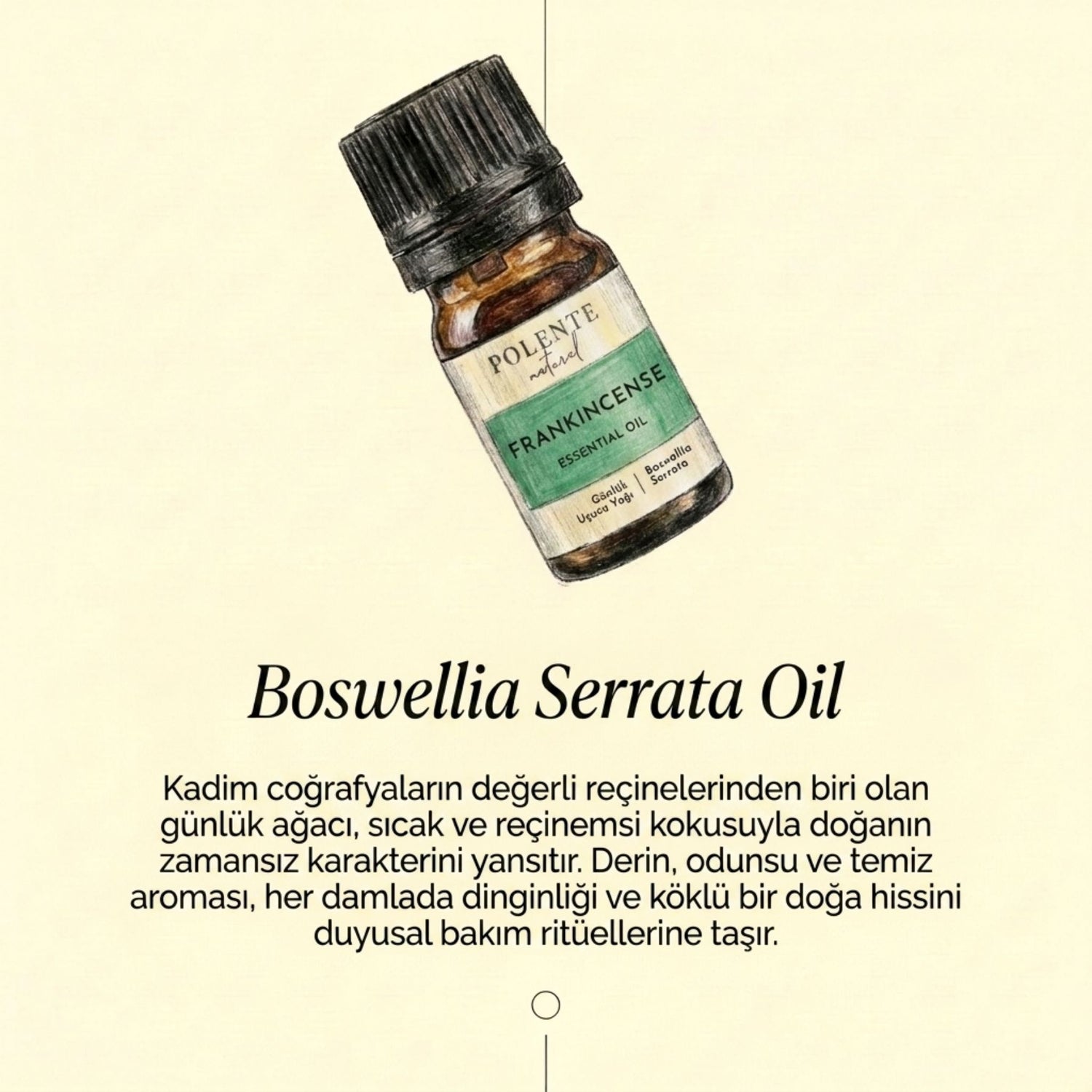 Sığla (Günlük) Uçucu Yağı (5 ml)