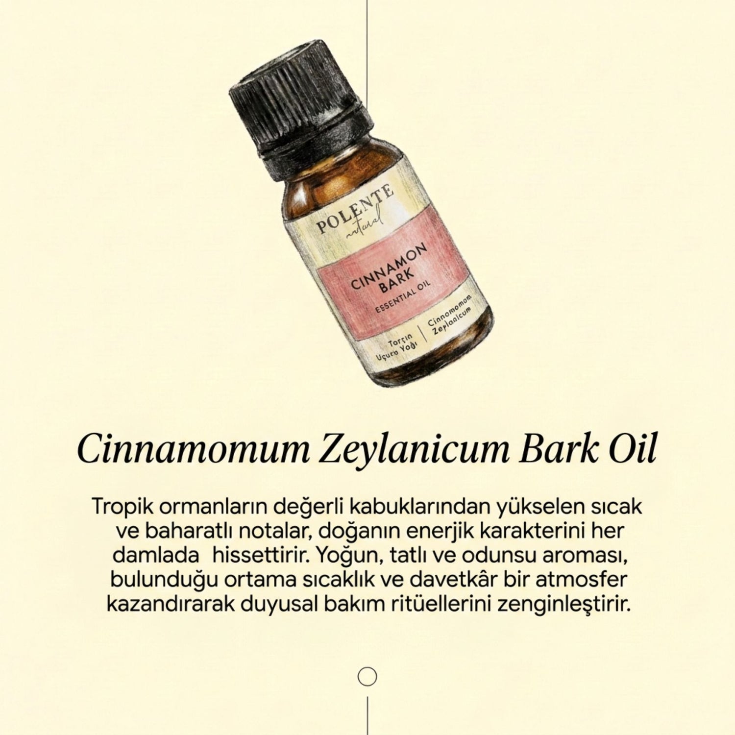 Tarçın Uçucu Yağı (10 ml)