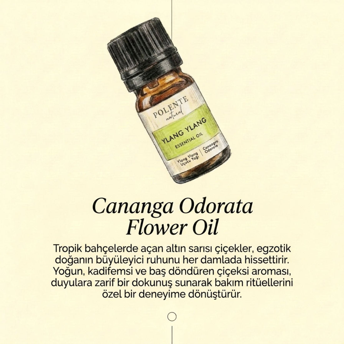 Ylang Ylang Uçucu Yağı (5 ml)