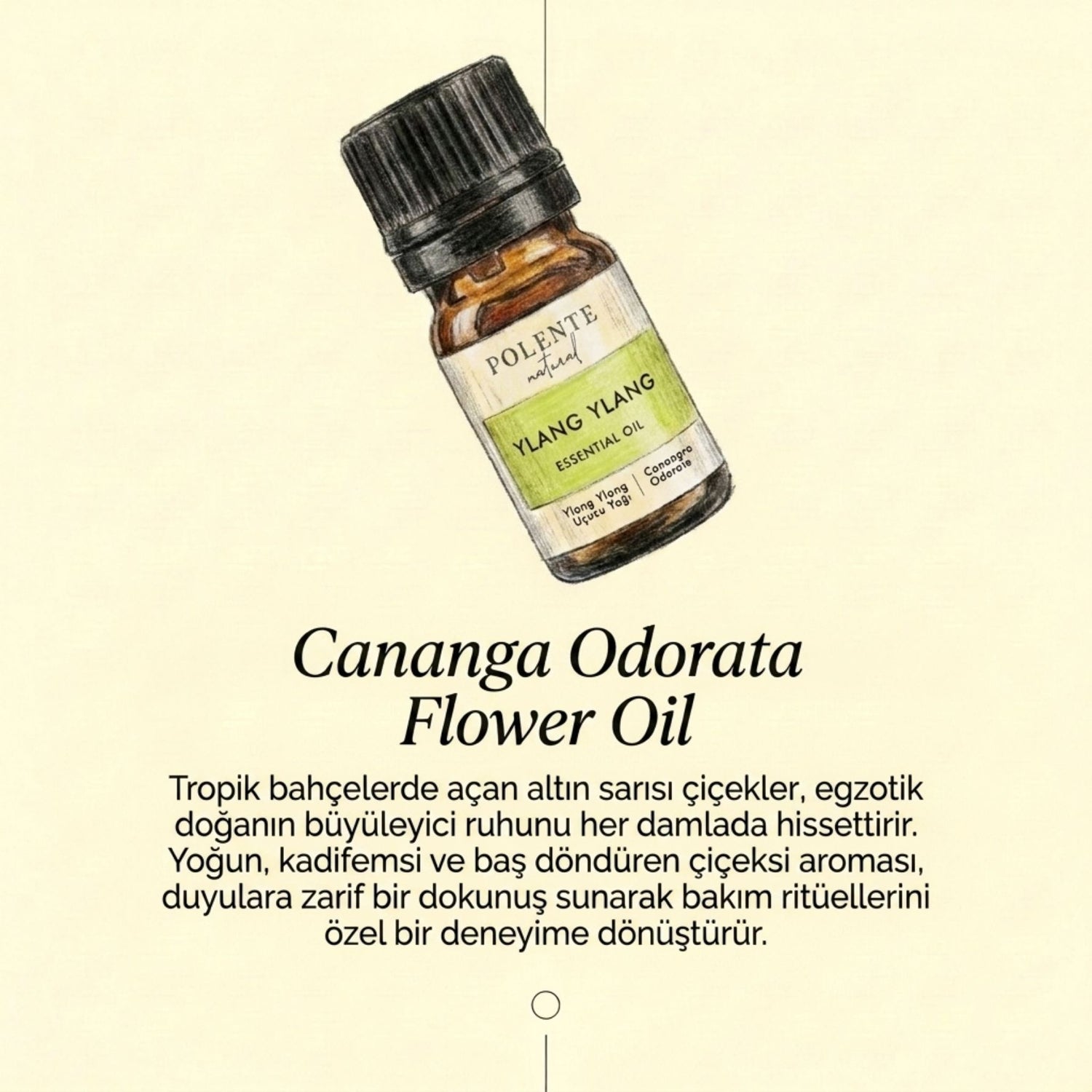 Ylang Ylang Uçucu Yağı (5 ml)