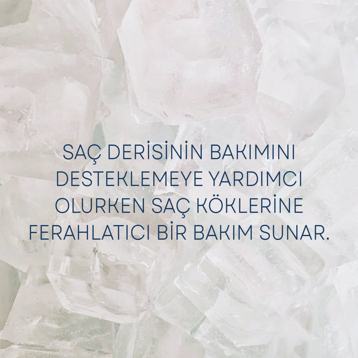 Saç Koku Canlandırıcı Dondurulabilir Tonik