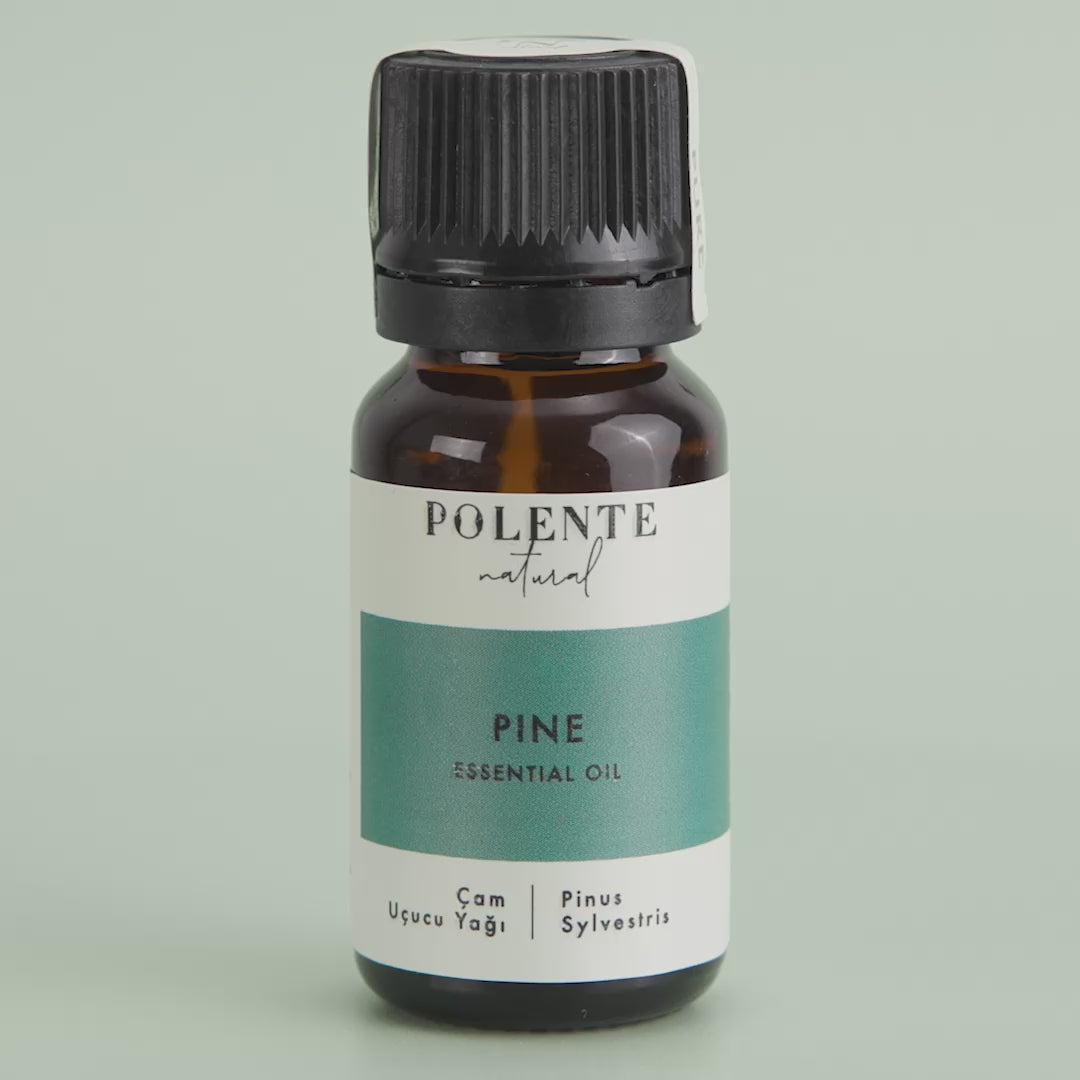 Pine Essential Oil (10 ml)